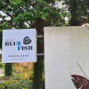 블루피쉬푸른물고기