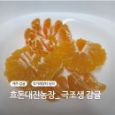 대진농장 | 농수산물 직거래장터 농라 &lt;효돈대진농장_극조생 감귤&gt; 귤 구입 후기