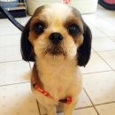 대성할인마트 이미지