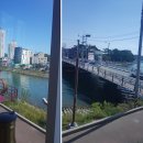 일광파전 이미지