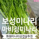 보성익스프레스 이미지