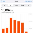영화장품 | 양지 화장품 센터 올리브영 물류센터 알바 후기