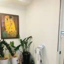 나비솔동원한의원 | [연수동한의원]충주 나비솔 한의원 추천!