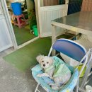 일상