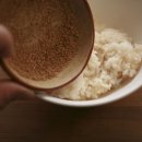 김밥천하 이미지