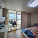 협성세탁 이미지