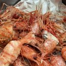 울릉도꽃새우 이미지