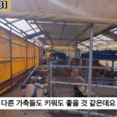 G1181 네이버블로그