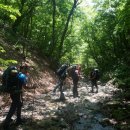 오늘은 힐링 이미지