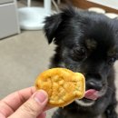 멍멍디저트 이미지