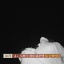 하늘.별민박 이미지
