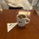 Tom and Jerry | 1월 둘째 주 (머했다고 벌써 둘째 주 .?)