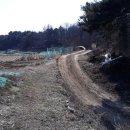 안동중학교와룡분교장 이미지