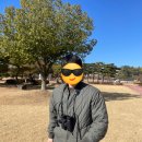 순천만습지 | 순천만습지 일일체험 (겨울 철새 탐조) 후기