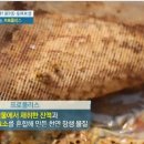 전문가가 알려주는 프로폴리스의 효능과 부작용 이미지