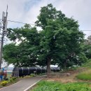 대덕면사무소 이미지