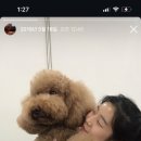 두루몽실 이미지