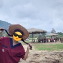 코끼리 | 태국 치앙마이 자유여행 생츄어리 코끼리 보호소 추천 란통 코끼리 보호소 후기 팁