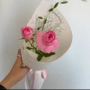 꼼므플레르 이미지