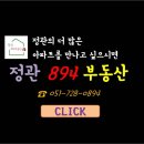 894부동산공인중개사사무소 이미지