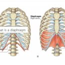 골든힐스짐 이미지