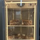 사직지구대 | [부산/동래구] 부산한우선물세트 찾는다면 신선함과 가성비 다 잡은 동래소고기 "JC 축산" 부산정육점 추천