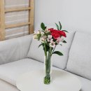 팜팜 | 신선함 가득! 플라워팜팜 어버이날카네이션 꽃다발 생화 후기