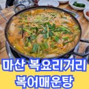 마산 : 광포복집 밀복매운탕 복요리거리 마산어시장 아침식사 창원 오동동