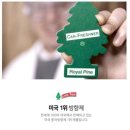 리틀트리 방향제 코스트코 추천상품 사용 후기