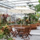 칠석동 고싸움센터 이미지