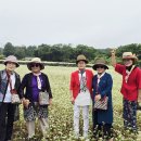 제주백마투어 주식회사 | 제주도 대형택시 요금 편리하게 다니는 제주 택시투어 추천