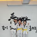인성품태권도장 이미지