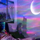 뉴오로라 이미지