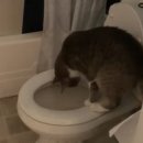 상쾌한항맥외과의원 이미지