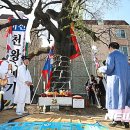 천왕메기 이미지