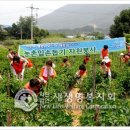 사라리할머니 이미지