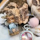 봄씨테이블 이미지