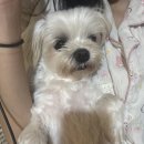 이동대원주유소 | 다시는 절대 경험하고싶지 않은 입원일기 •••