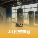 시나브로복싱 이미지