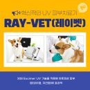 캐비어동물병원 이미지