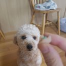 만보약국 이미지