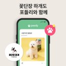 꽃단장 하개 이미지