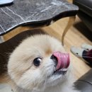 커비동물병원 이미지