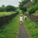 이호로1L 이미지