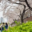 낙동제방 자전거도로 이미지