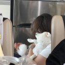 올모스트프라이데이AlmostFriday | 8월 서울 일상 3 [코리안밥상 2편..]