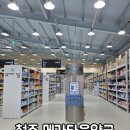 비타민약국 | 청주 메가타운약국 창고형 대형약국 비타민, 영양제 내돈내산 솔직후기