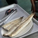 서울근교 강화도여행, 강화맛집 _ 강화갯벌장어직판장