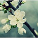온라인닷컴
