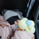 테테루 드림랜드 이미지
